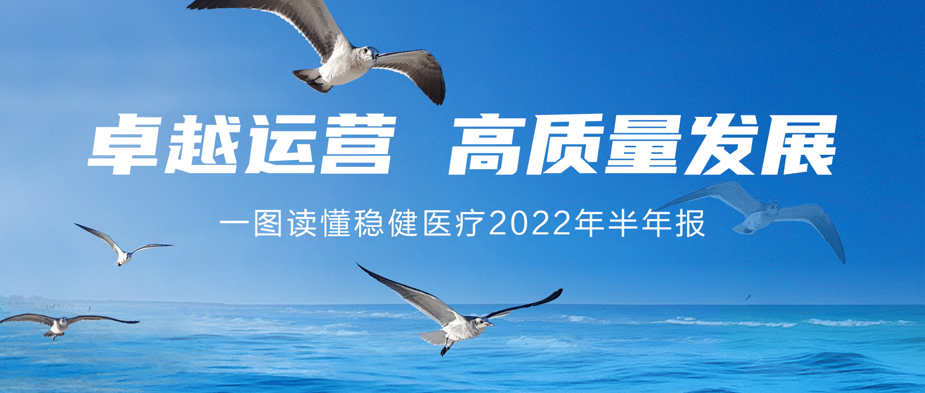 一图读懂银河集团官网2022年半年报